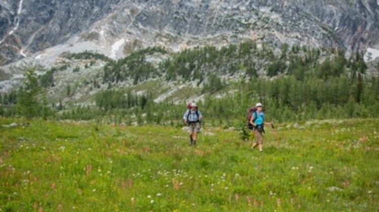 Hiking-Meadows